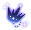모자