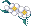 모자